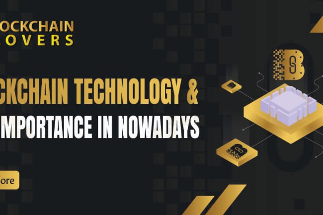 Blockchain Technology and its Importance in Nowadays