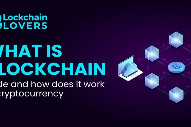 What is blockchain node and how does it work in cryptocurrency